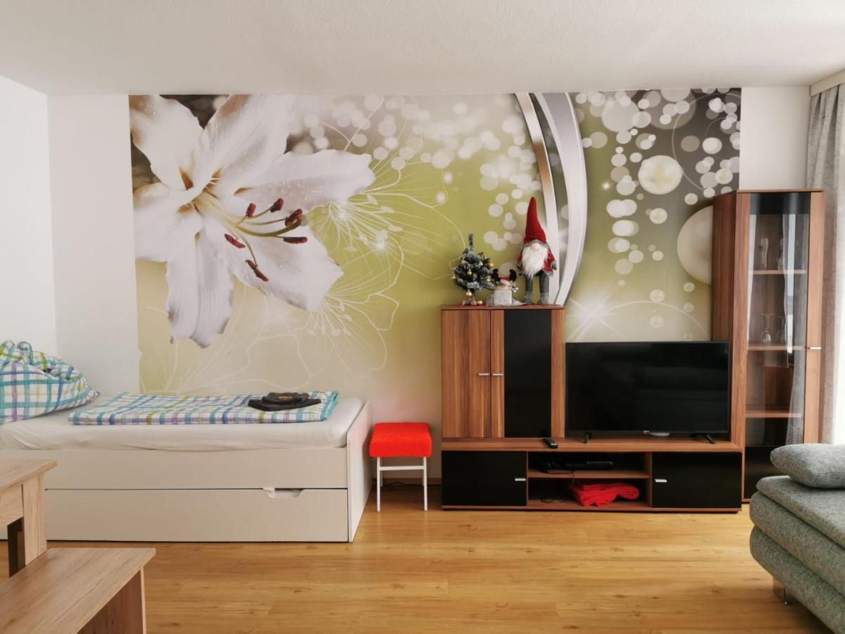Apartment Fewo Irdning Pichlarn Aigen im Ennstal Exterior foto