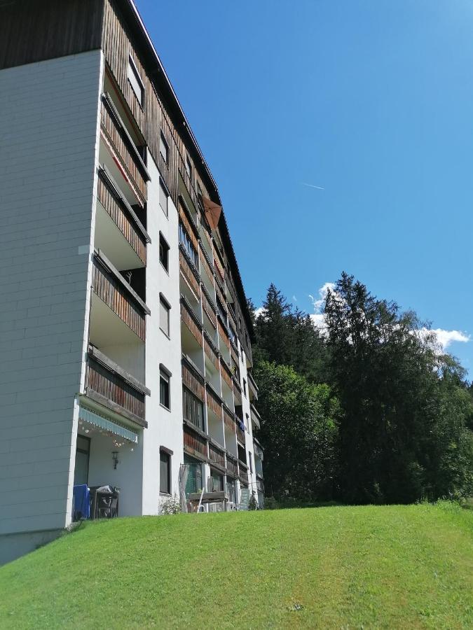 Apartment Fewo Irdning Pichlarn Aigen im Ennstal Exterior foto