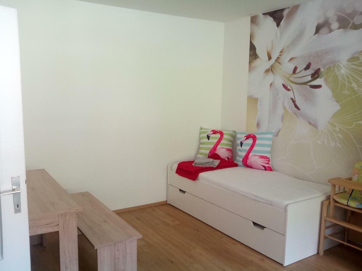Apartment Fewo Irdning Pichlarn Aigen im Ennstal Exterior foto
