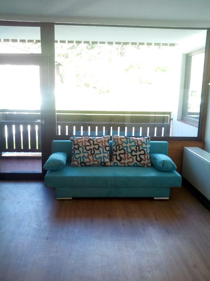 Apartment Fewo Irdning Pichlarn Aigen im Ennstal Exterior foto